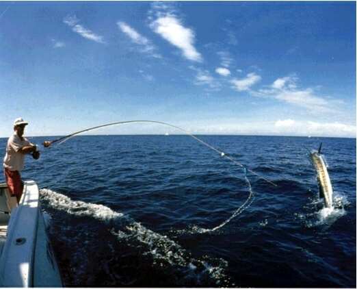 Deep  Fish on Deep Sea Fishing Marlin Fishing
